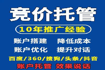 竞价广告在XX行业的成功应用案例